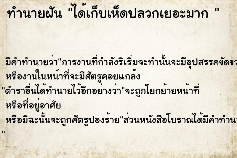 ทำนายฝัน ได้เก็บเห็ดปลวกเยอะมาก 